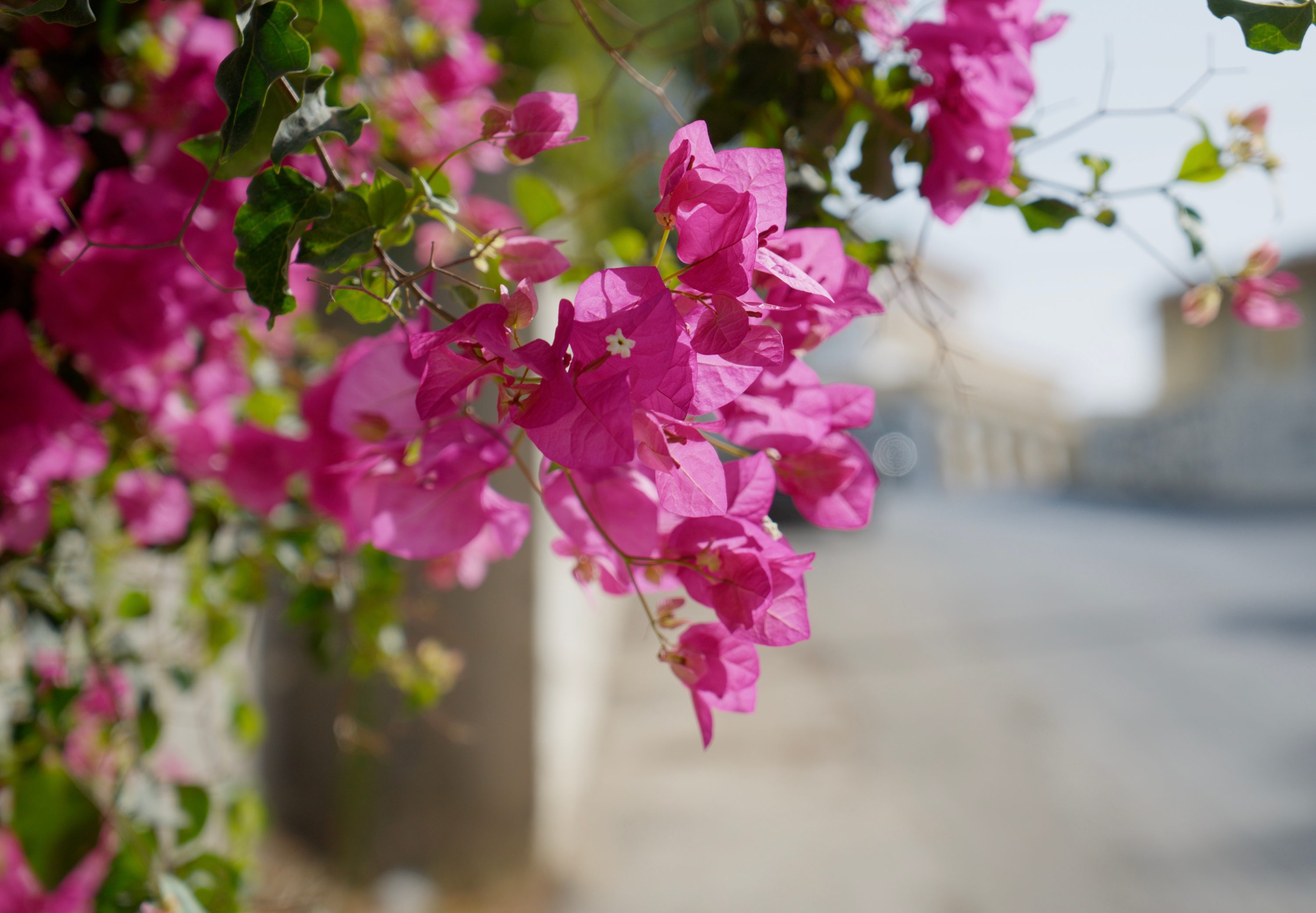 Greece