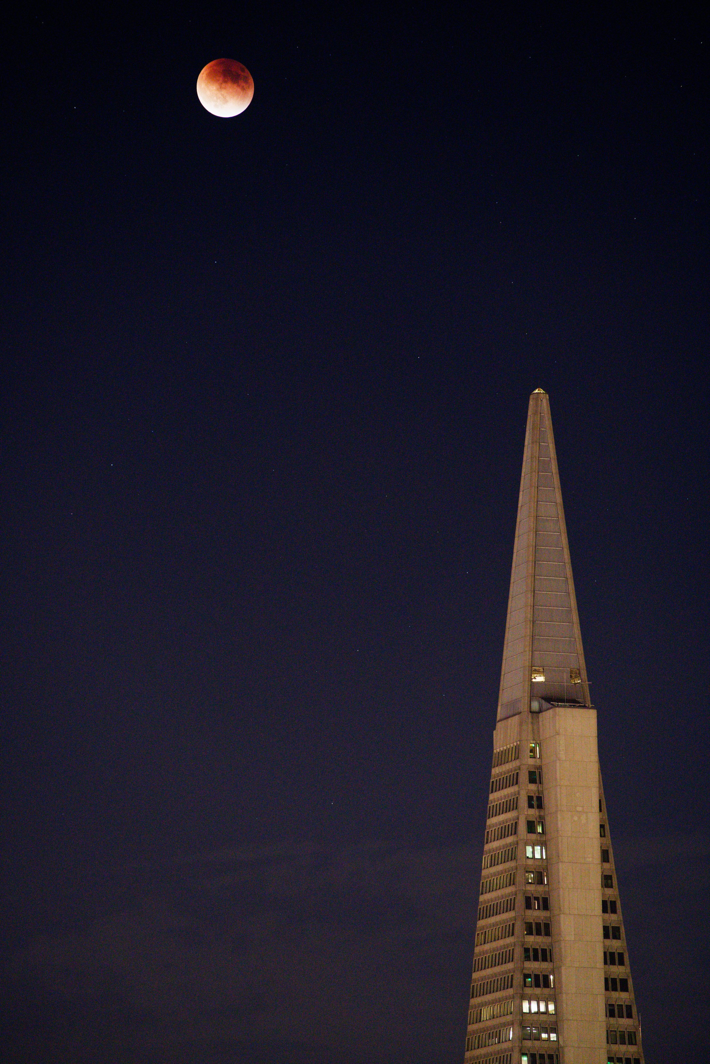 Captured during the rare supermoon total lunar eclipse. — San Francisco, CA