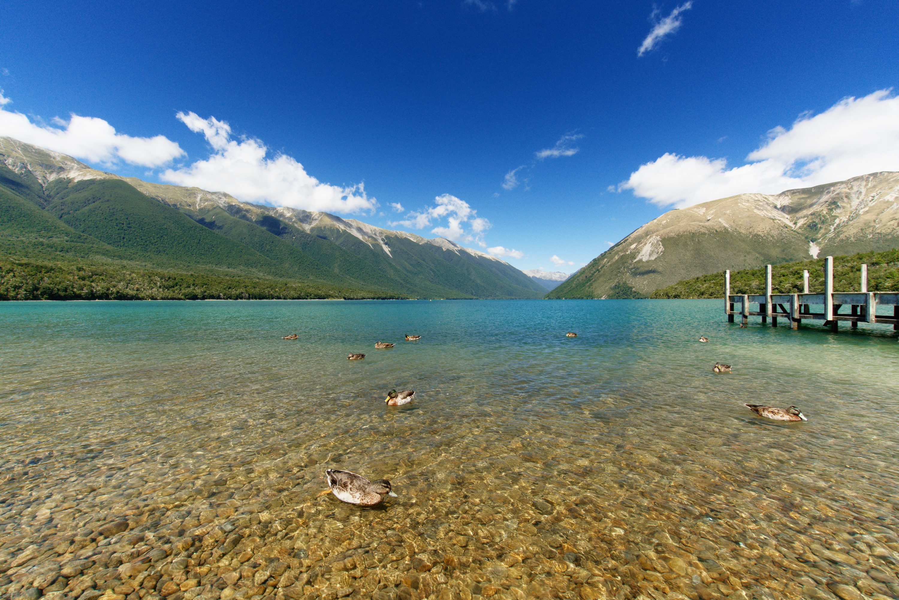 Nelson Lakes National Park, South Island, New Zealand