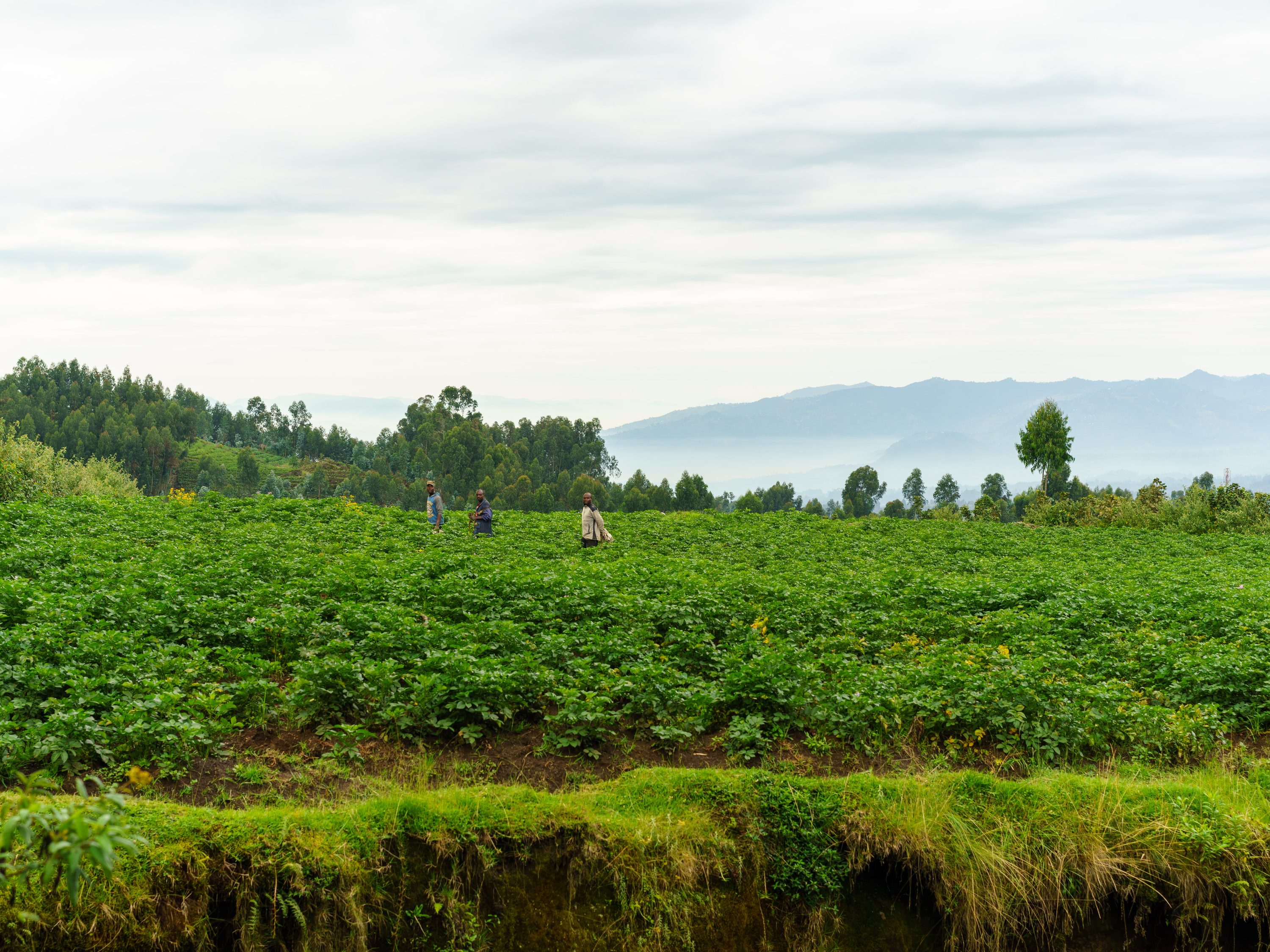 Rwanda