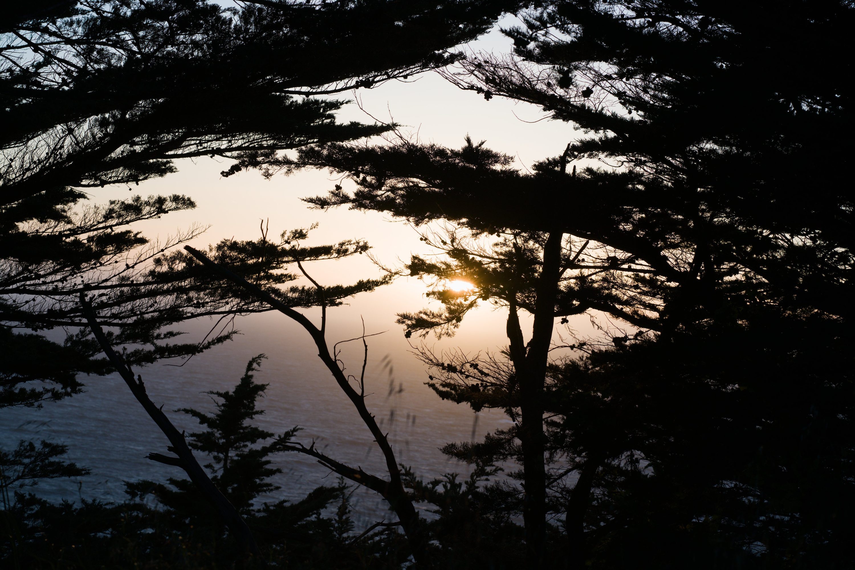 San Francisco, CA