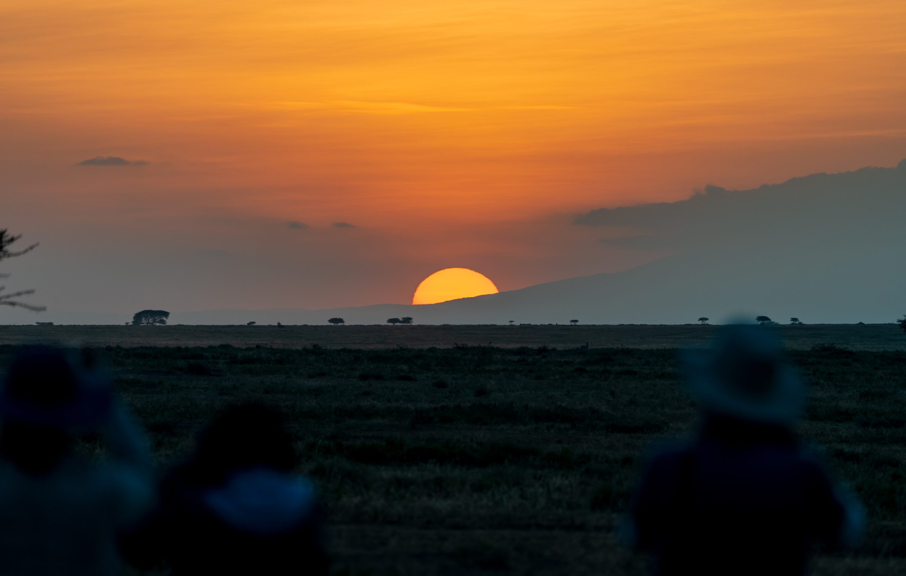 Southern Serengeti, Tanzania