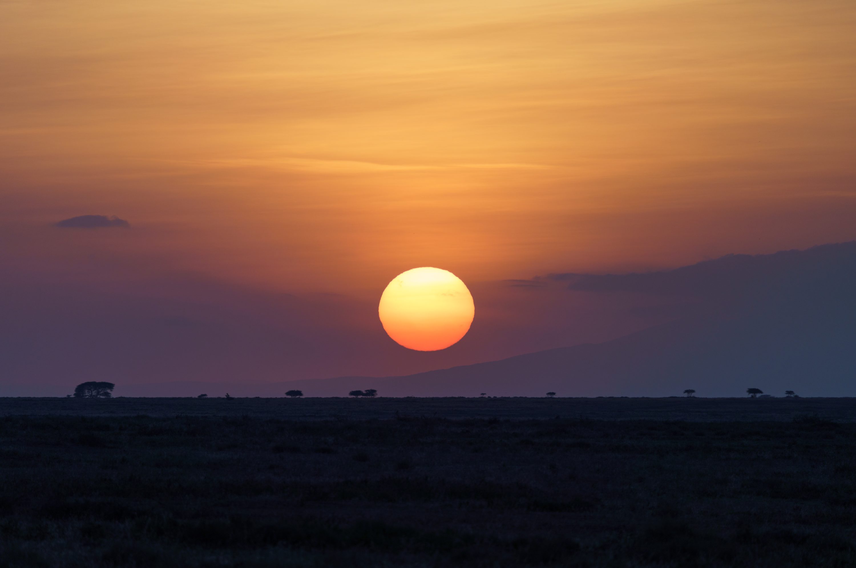 Southern Serengeti, Tanzania