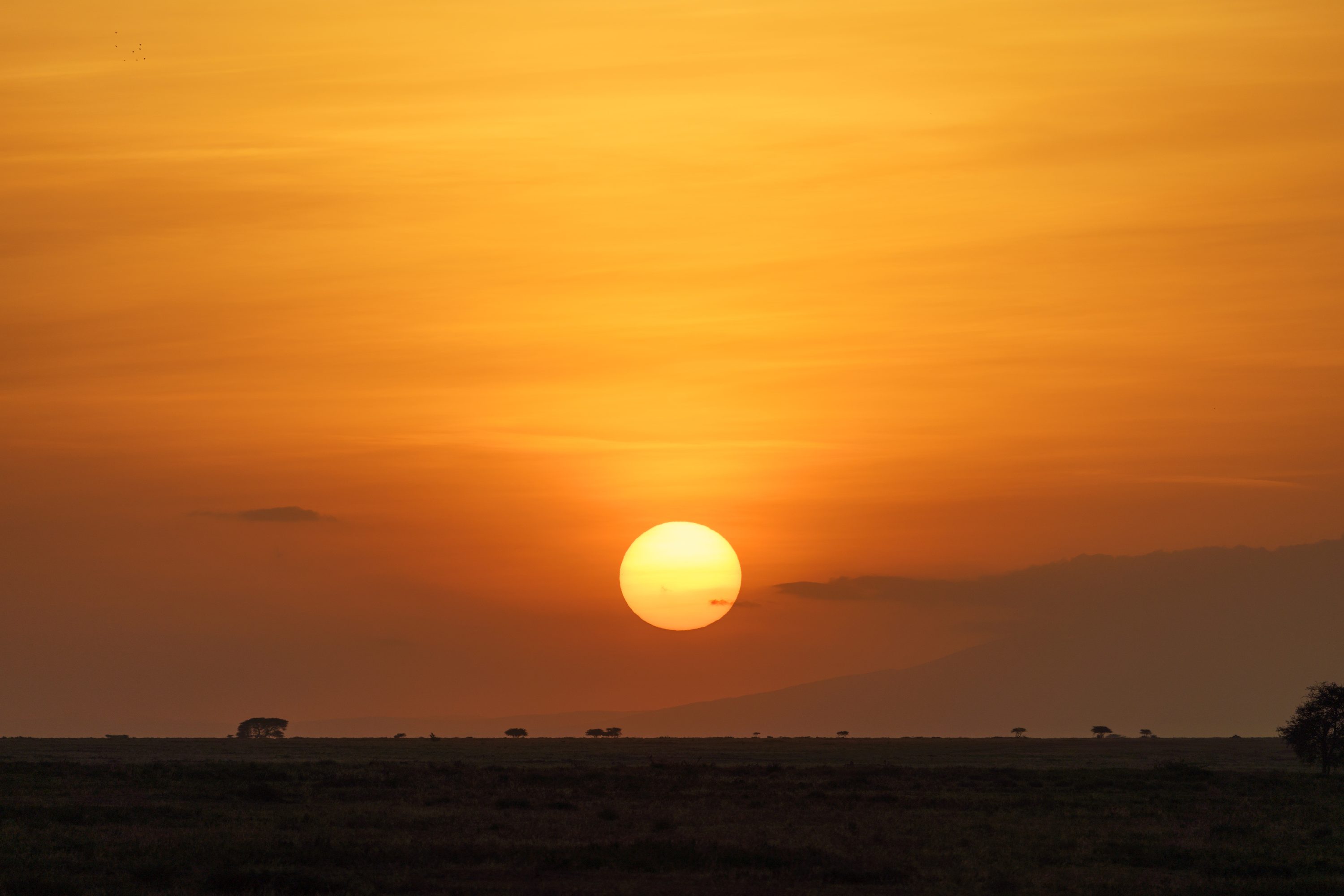 Southern Serengeti, Tanzania