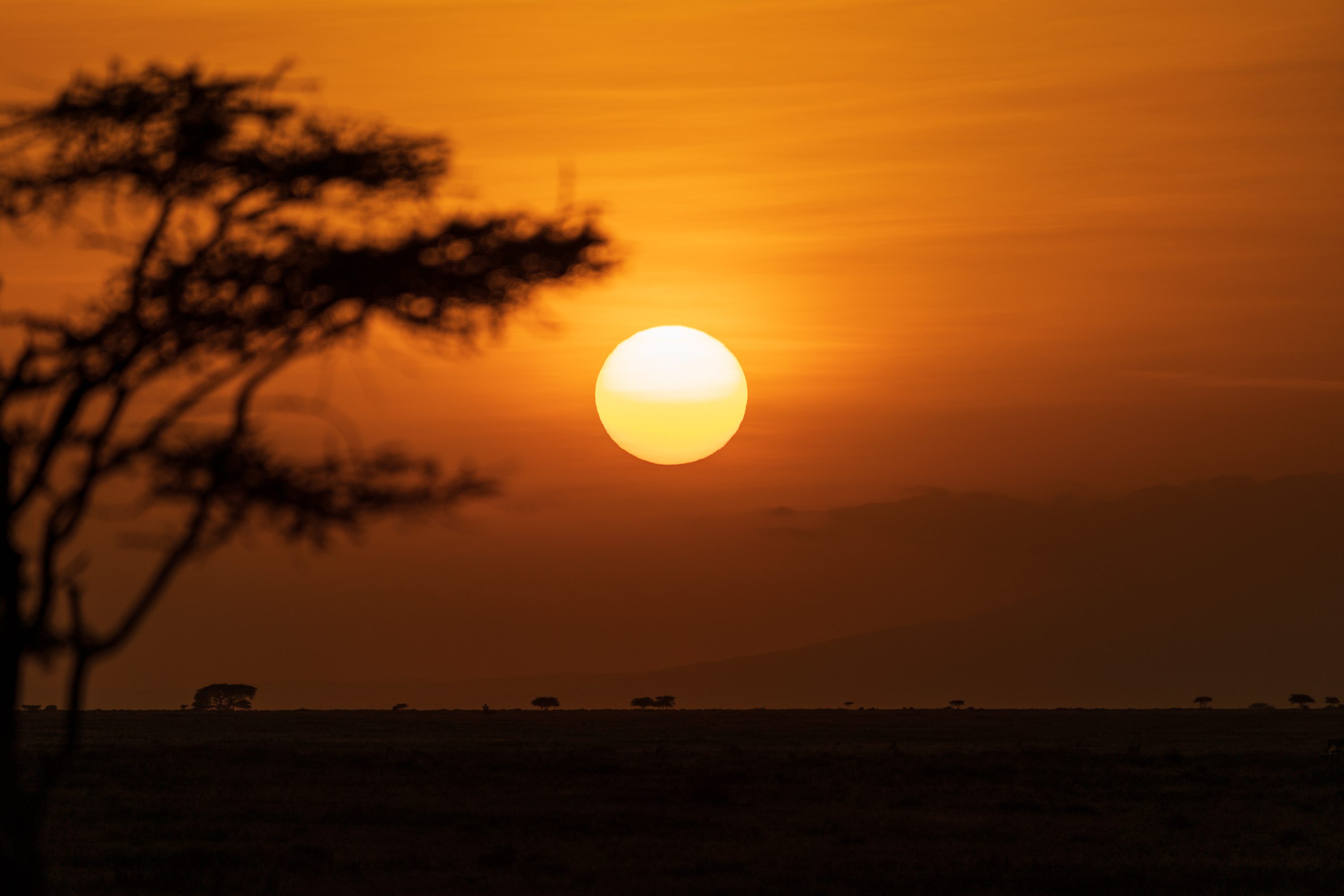 Southern Serengeti, Tanzania