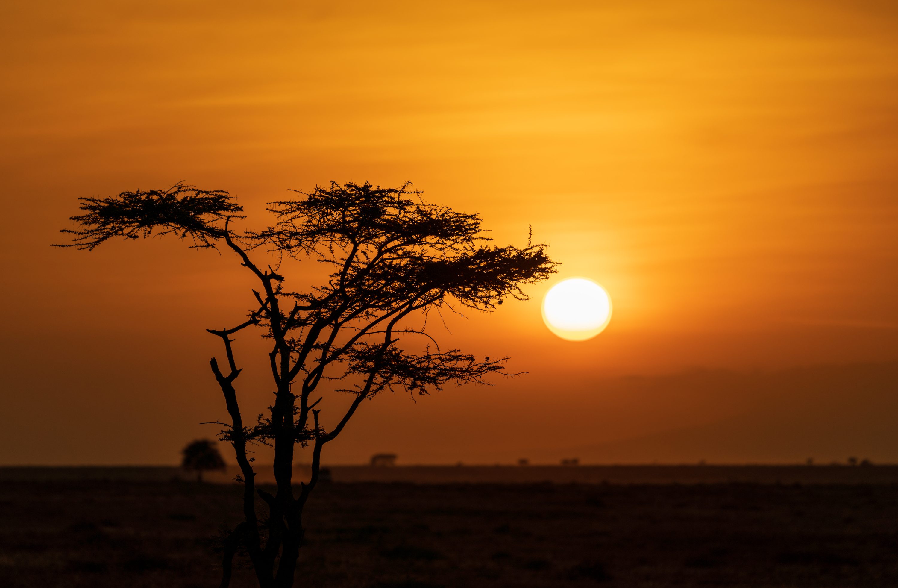 Southern Serengeti, Tanzania