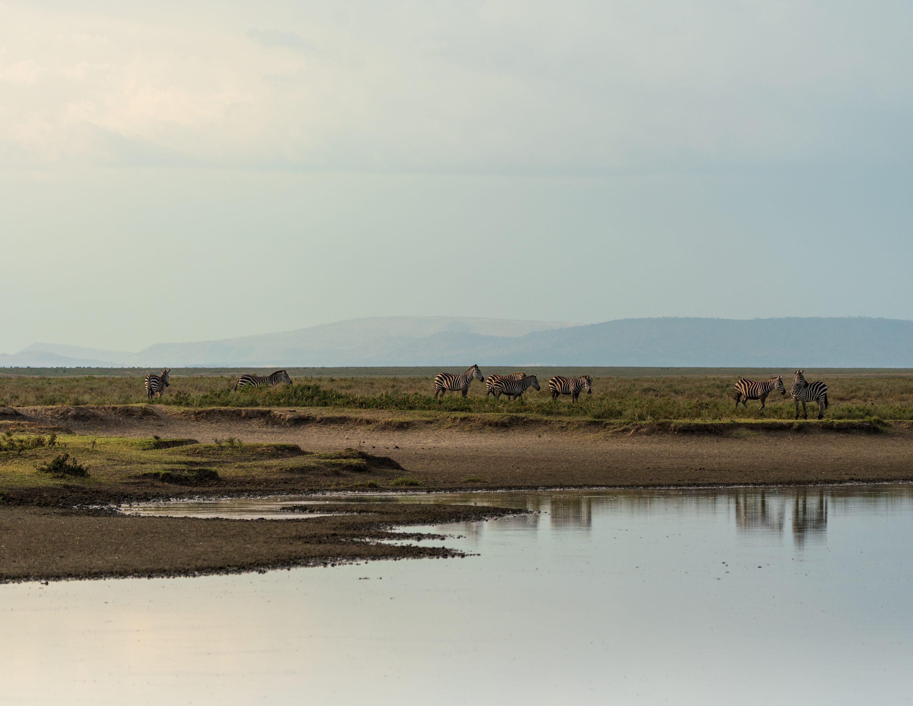 Southern Serengeti, Tanzania