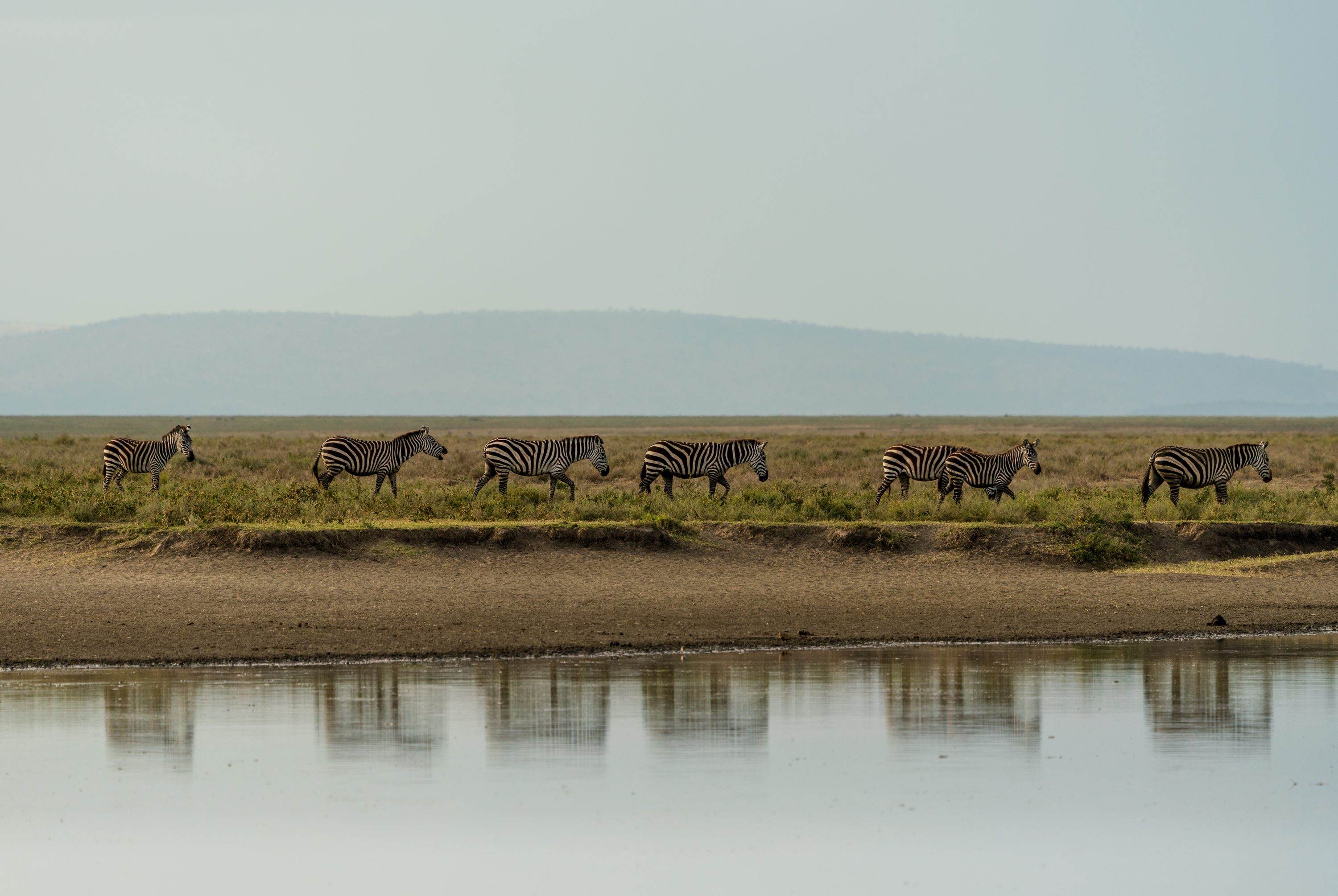 Southern Serengeti, Tanzania