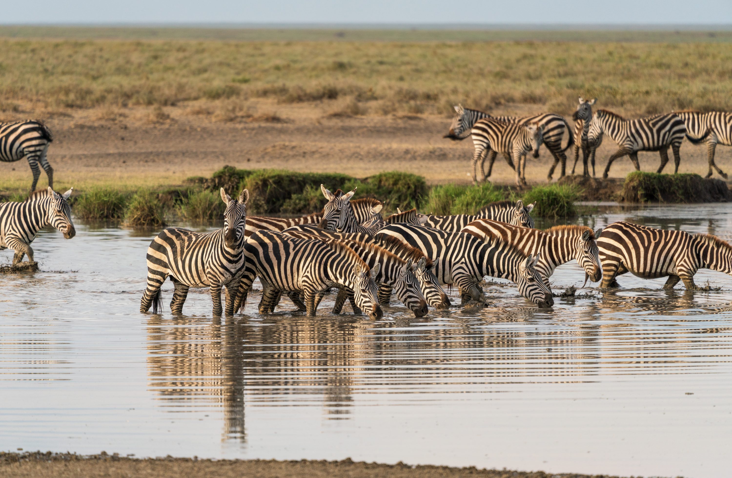 Southern Serengeti, Tanzania