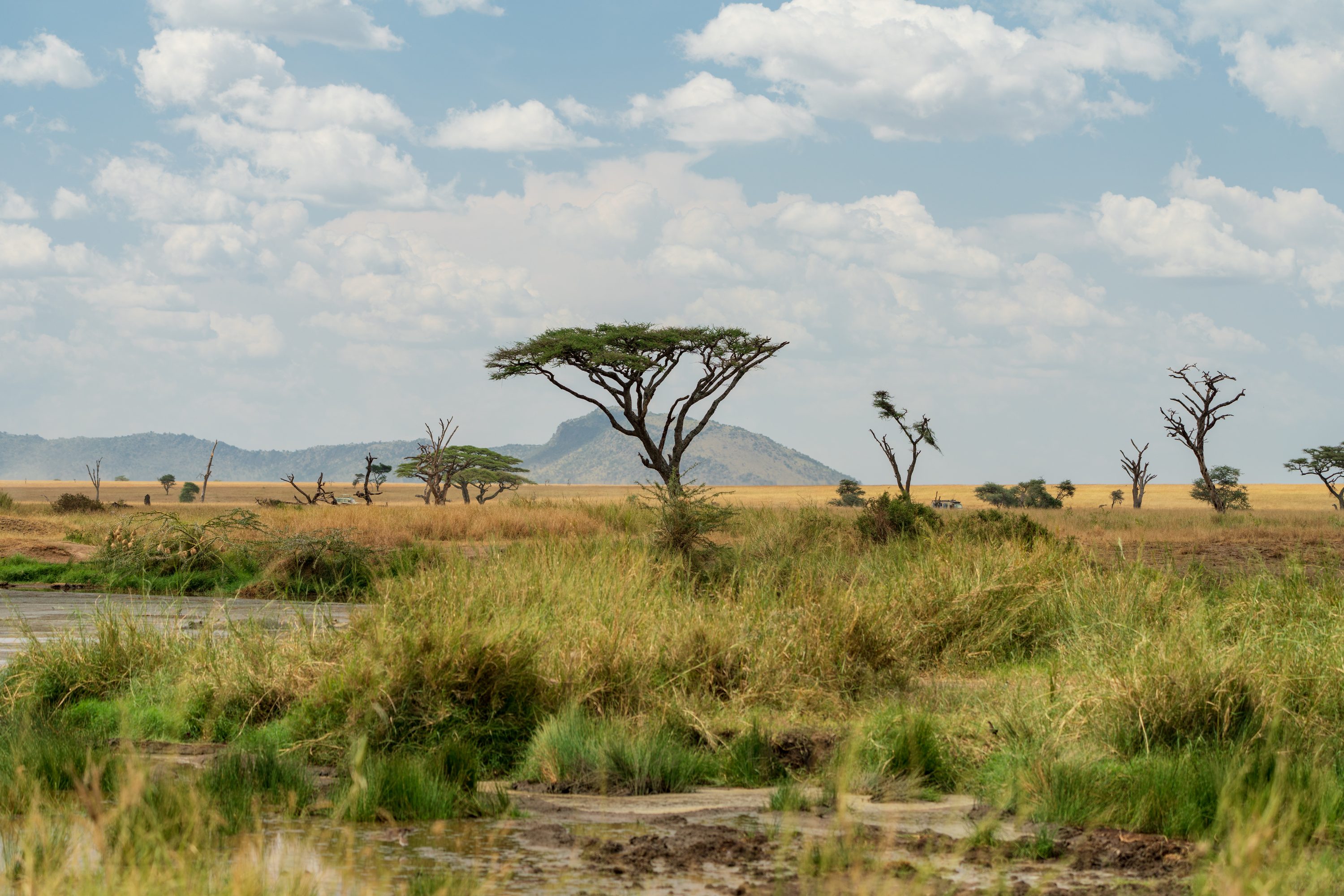 Southern Serengeti, Tanzania