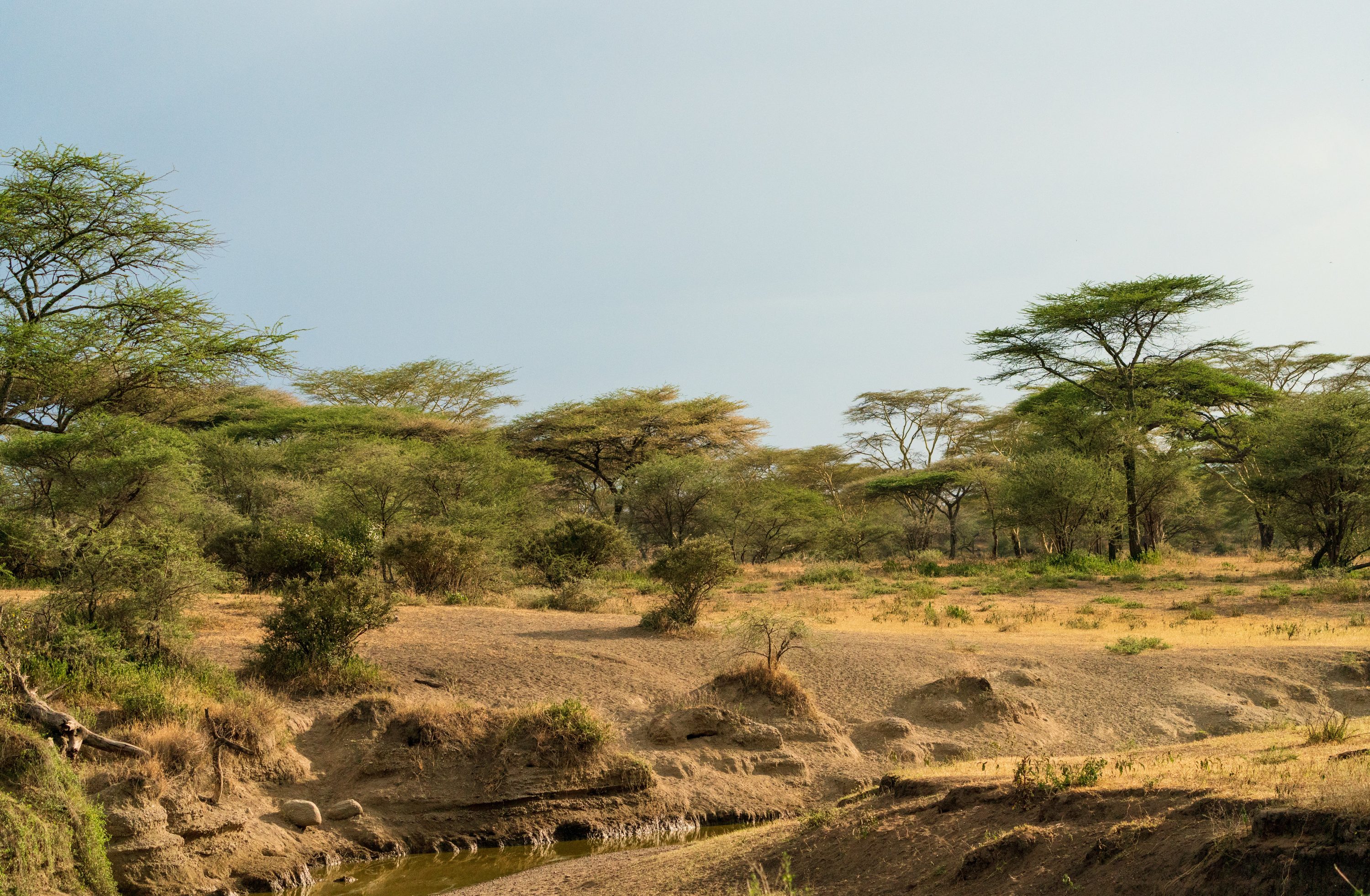 Southern Serengeti, Tanzania