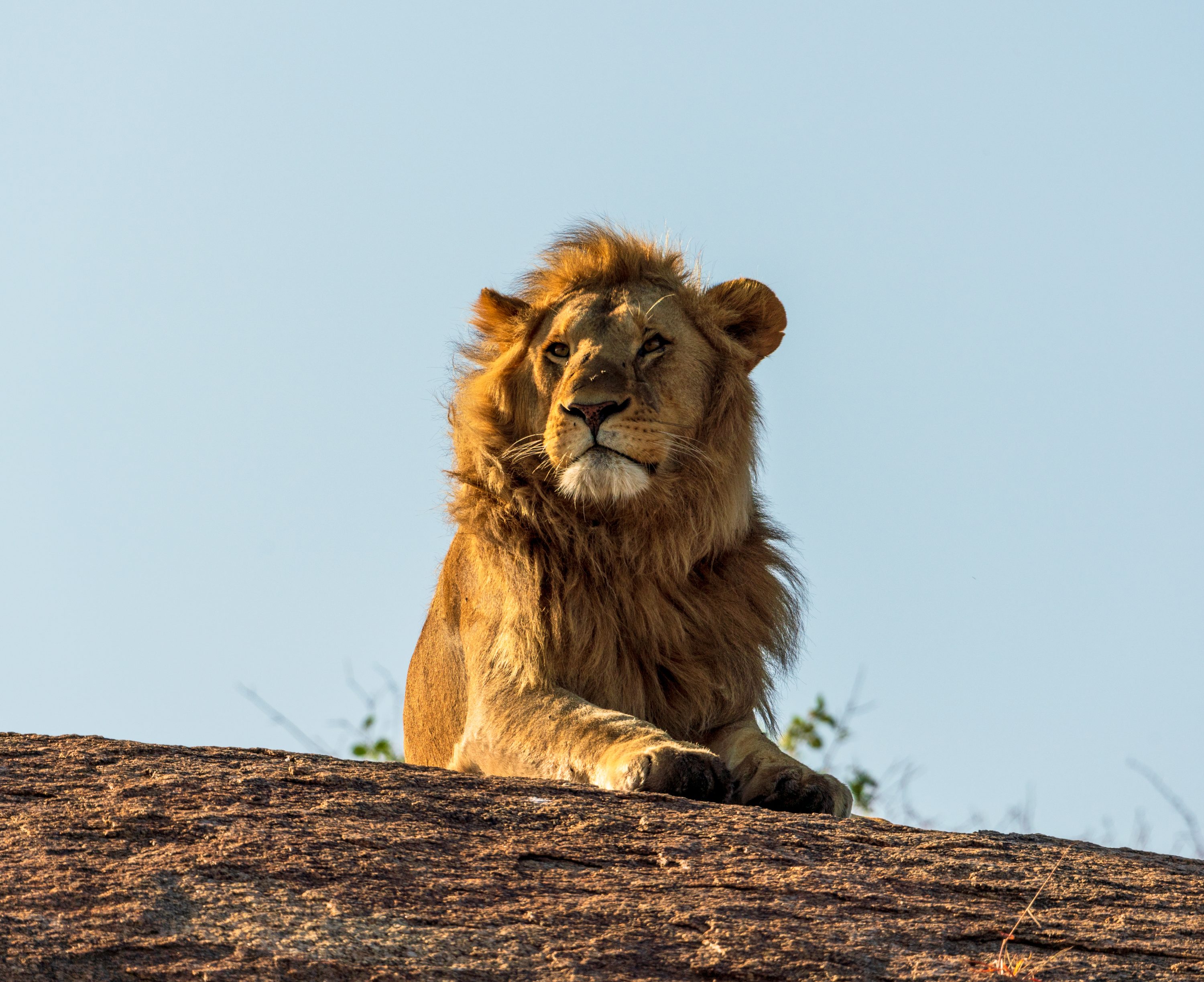 Southern Serengeti, Tanzania