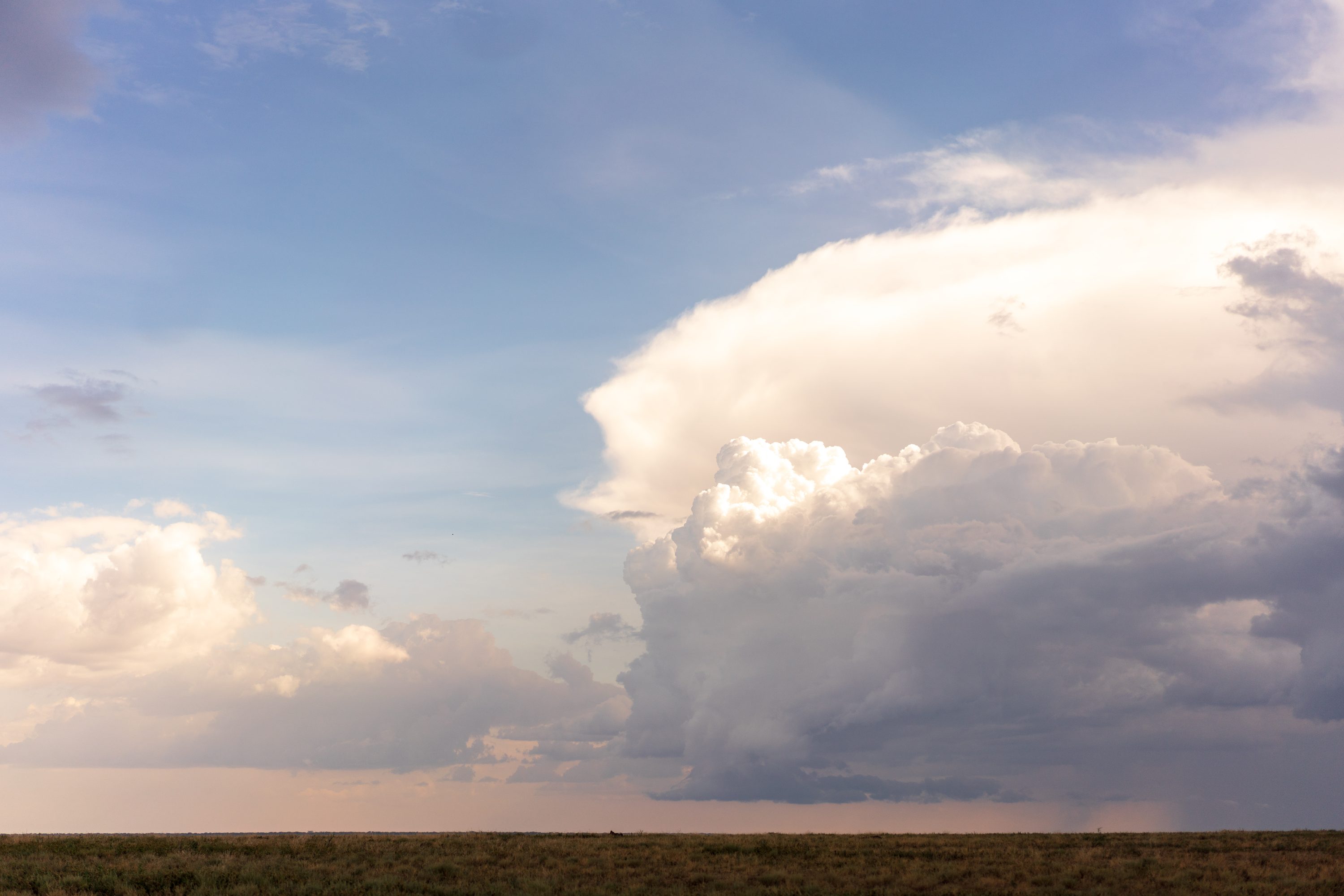 Southern Serengeti, Tanzania