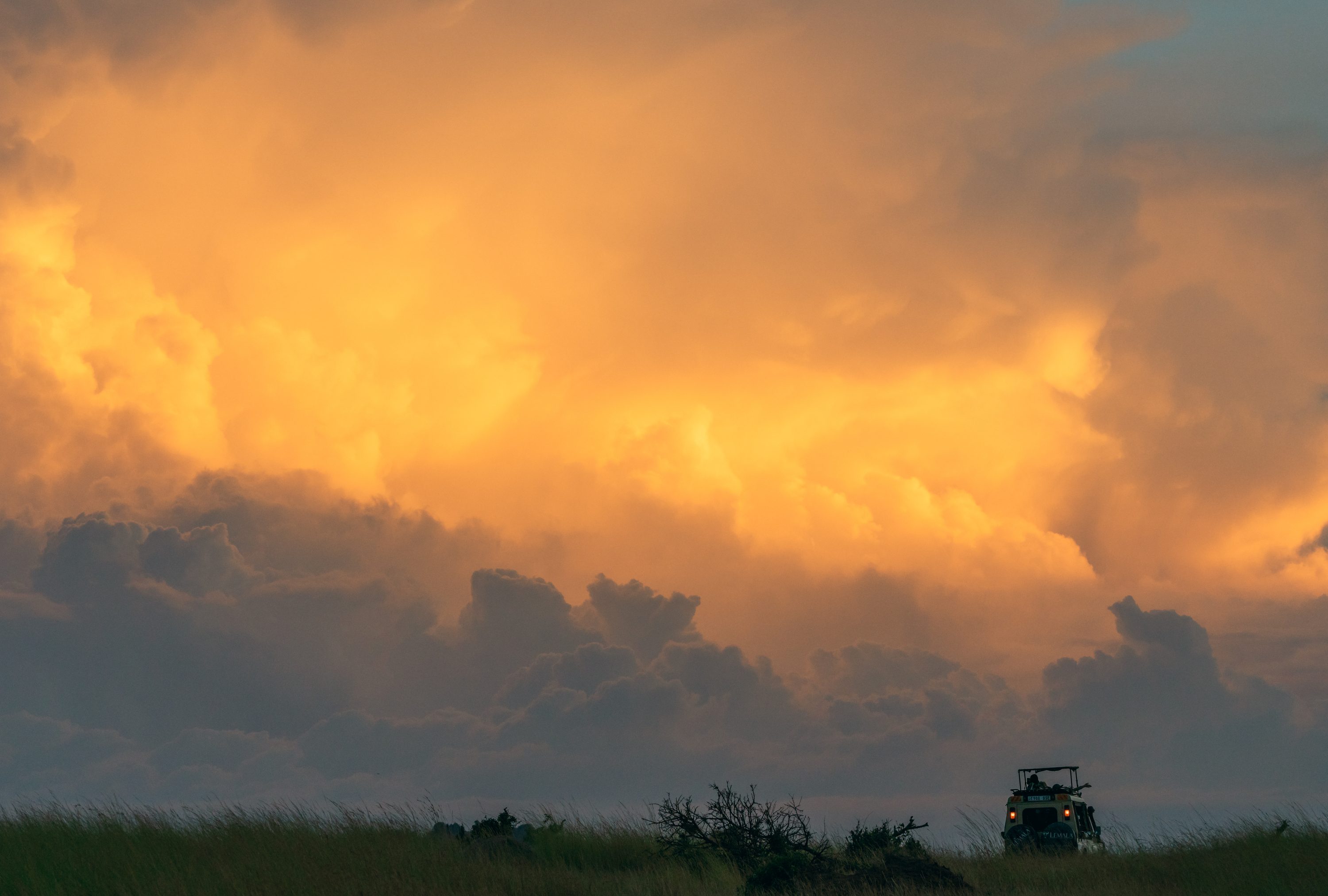 Northern Serengeti, Tanzania
