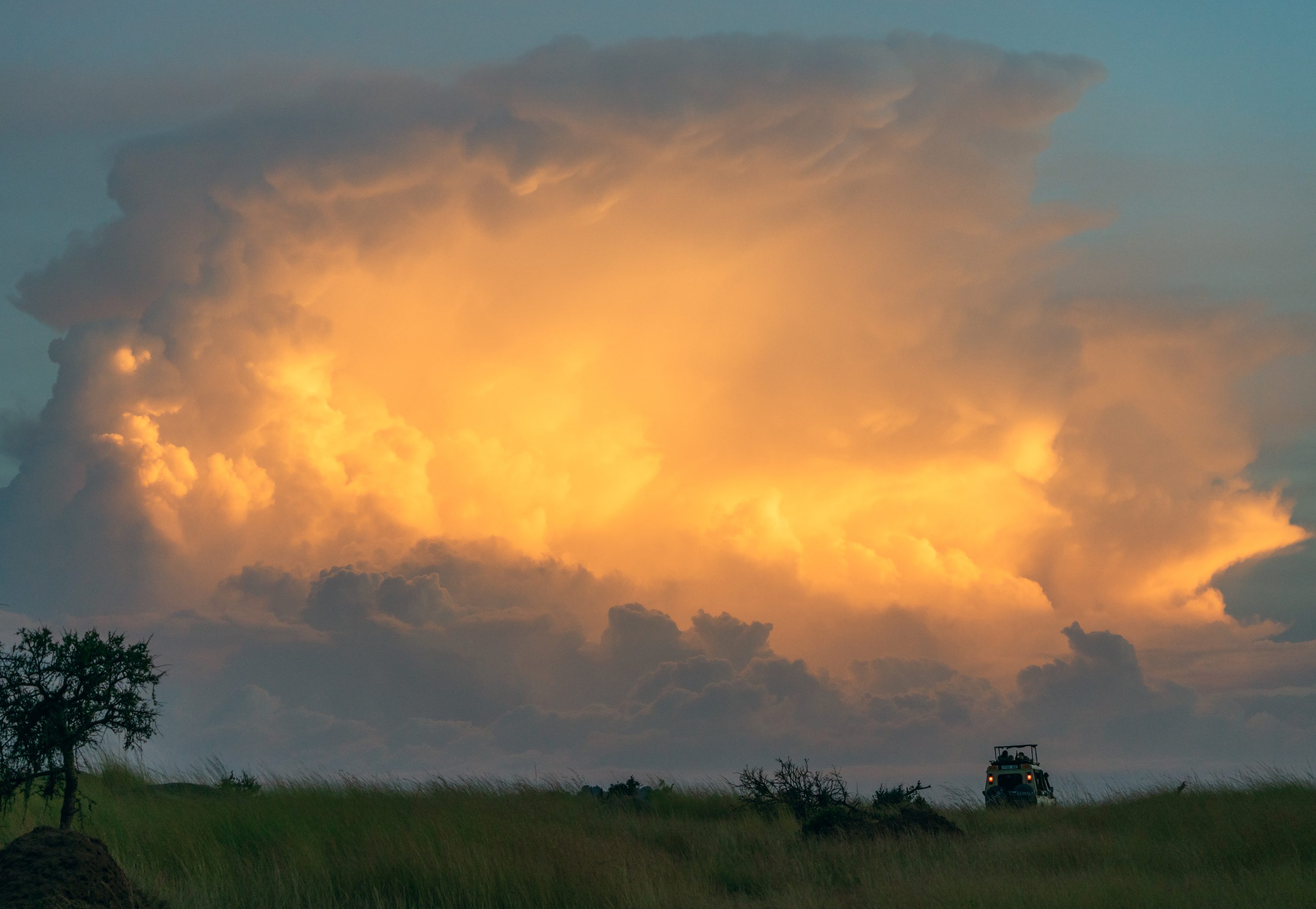 Northern Serengeti, Tanzania