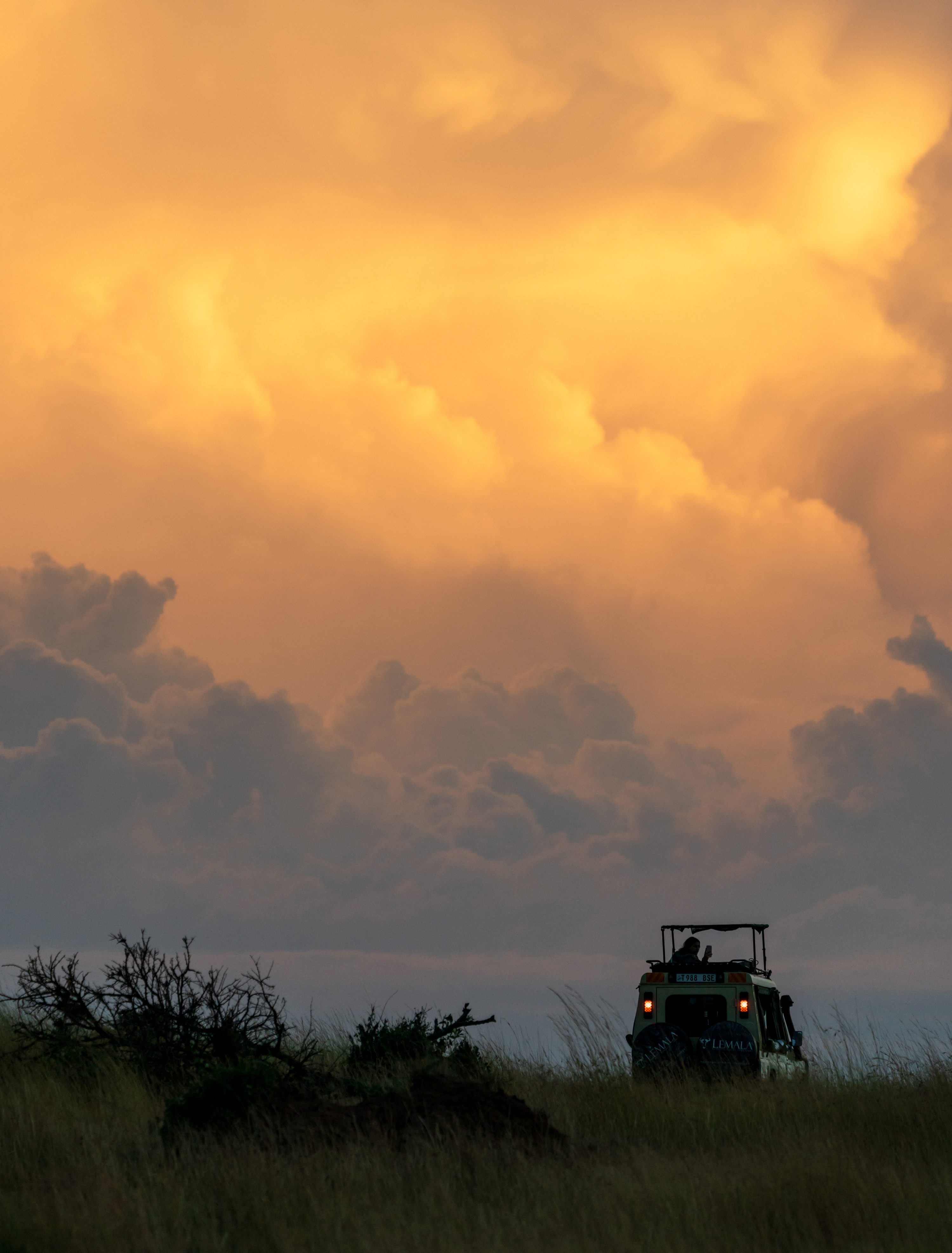 Northern Serengeti, Tanzania