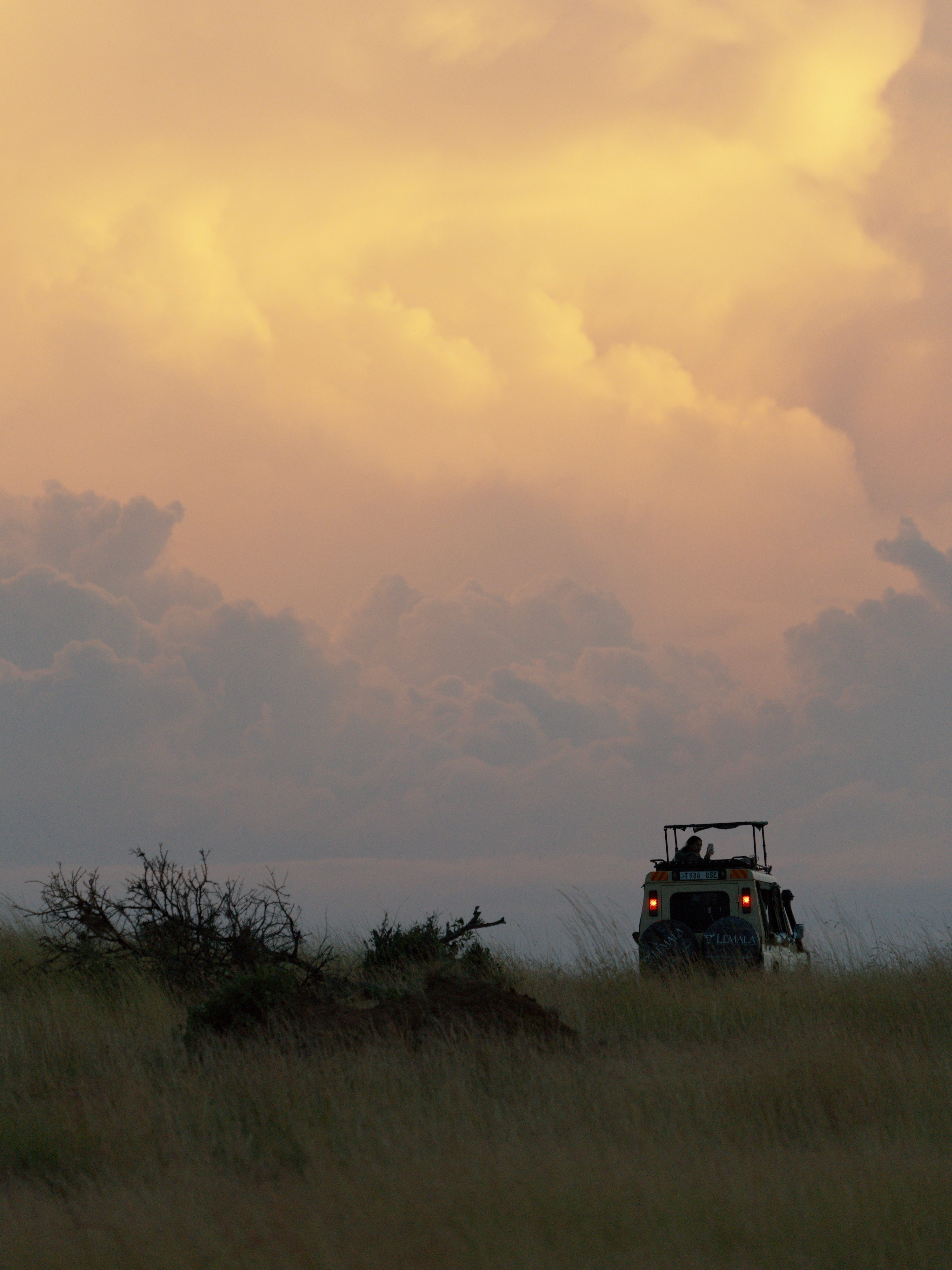 Northern Serengeti, Tanzania