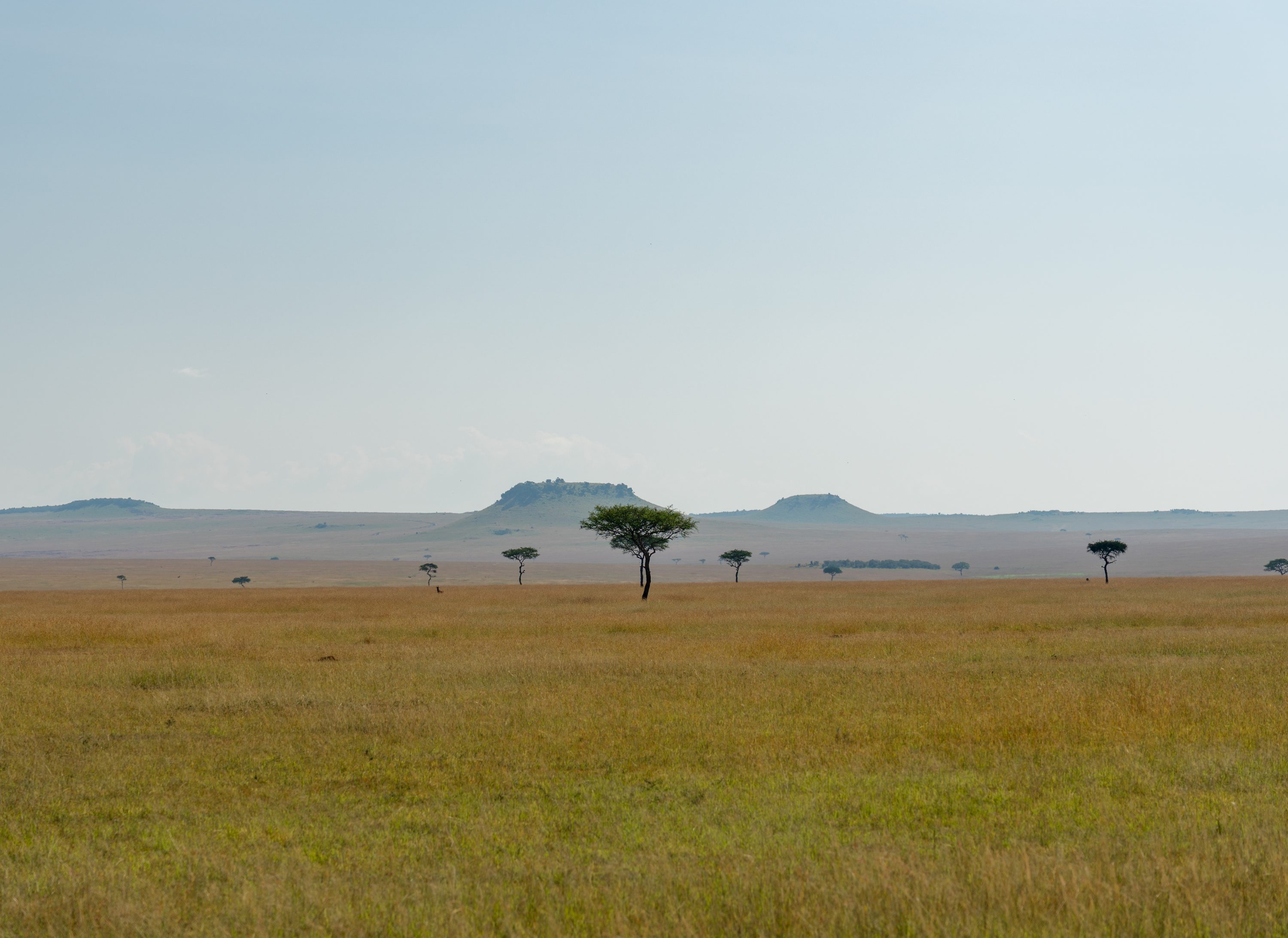 Northern Serengeti, Tanzania