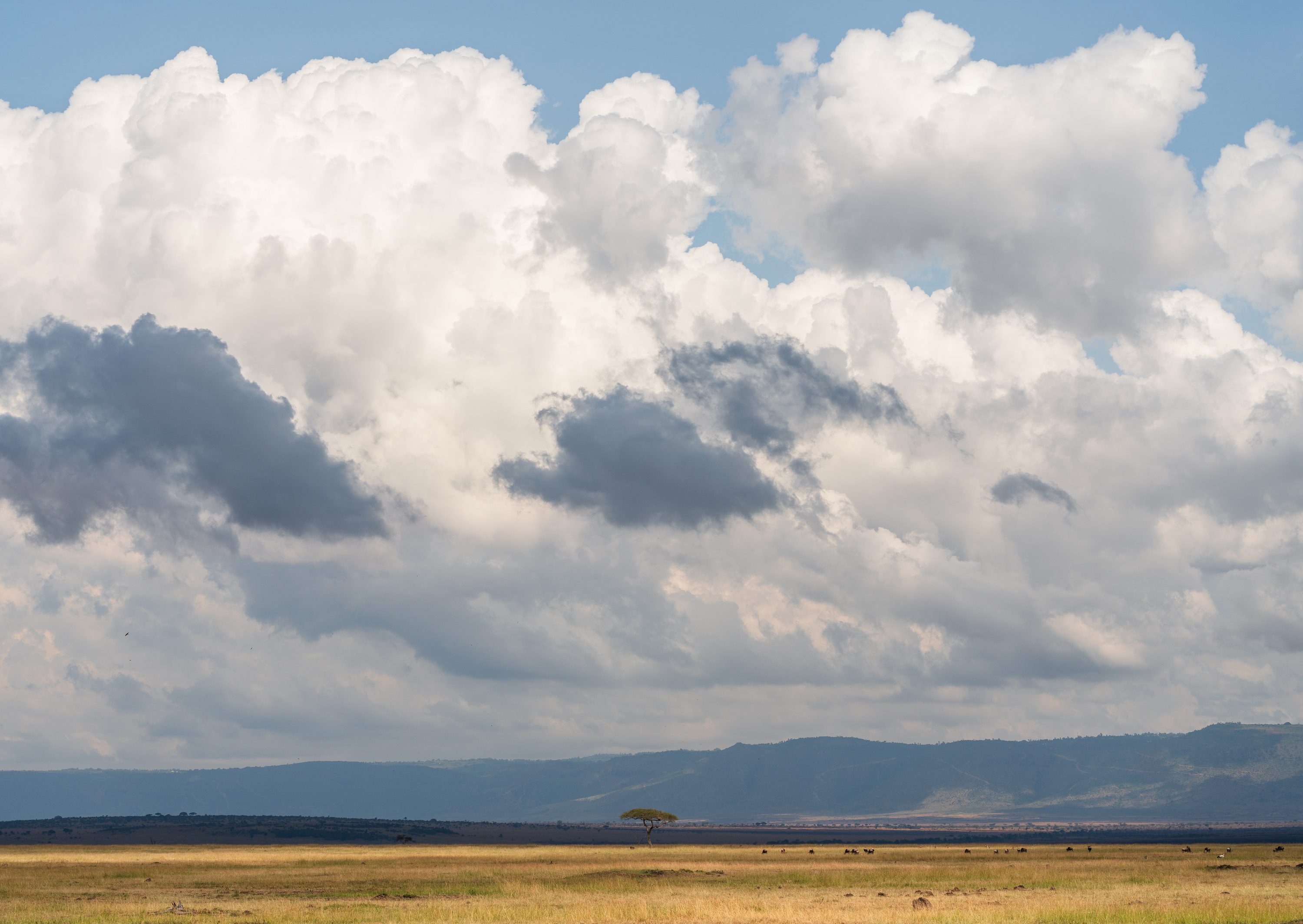 Northern Serengeti, Tanzania