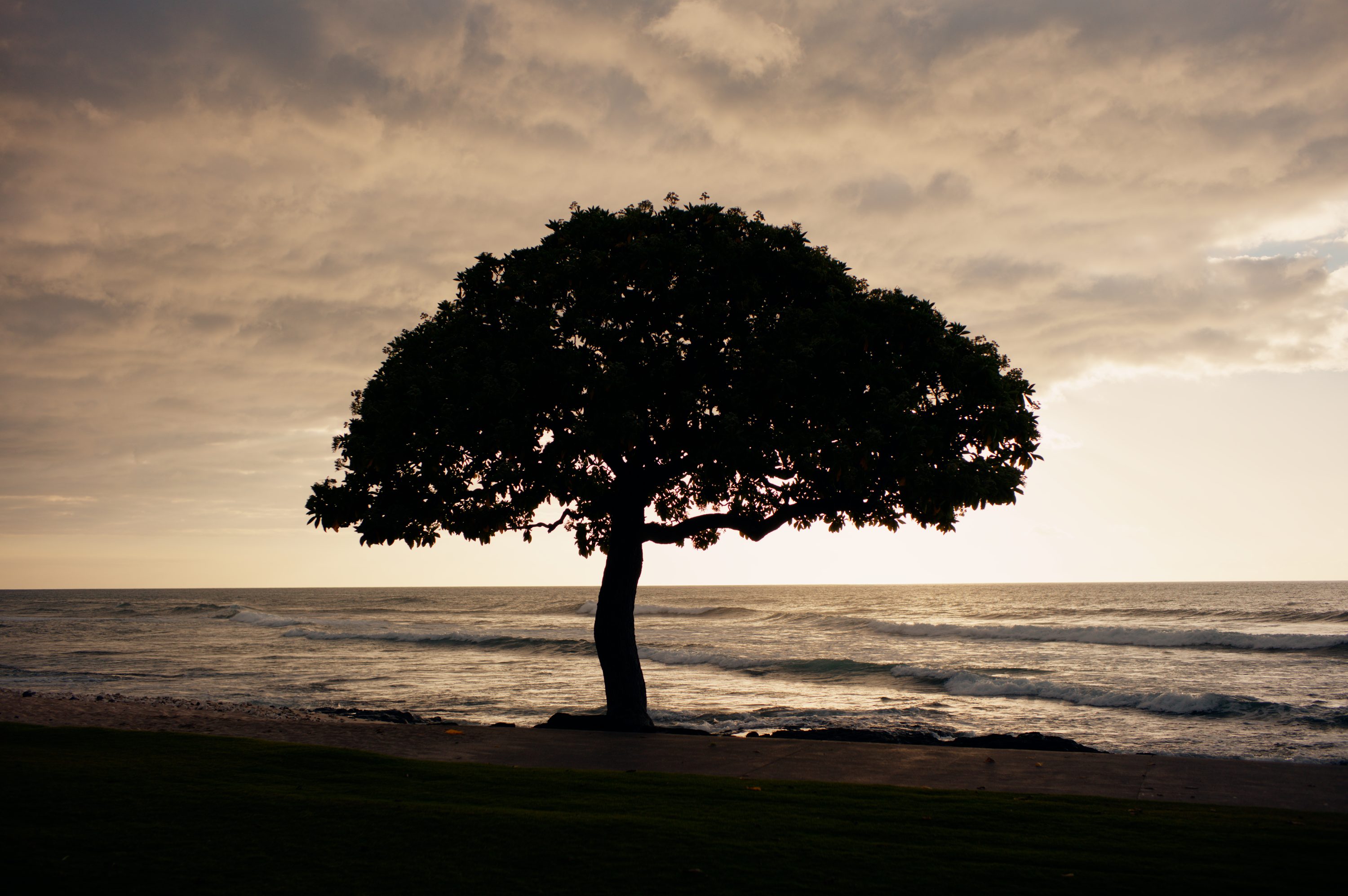Big Island, Hawaii