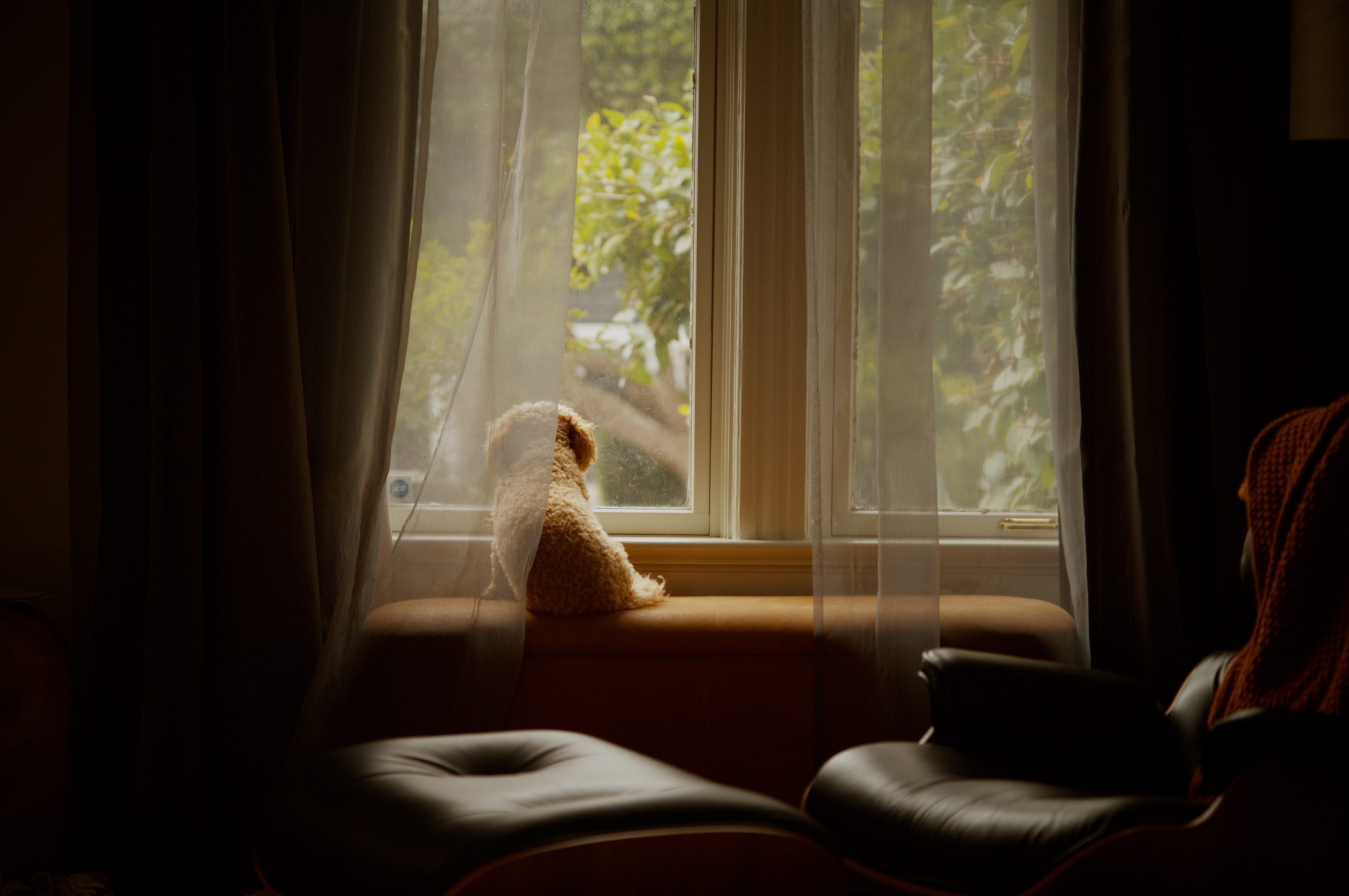 Charlie's favorite spot. — San Francisco, CA