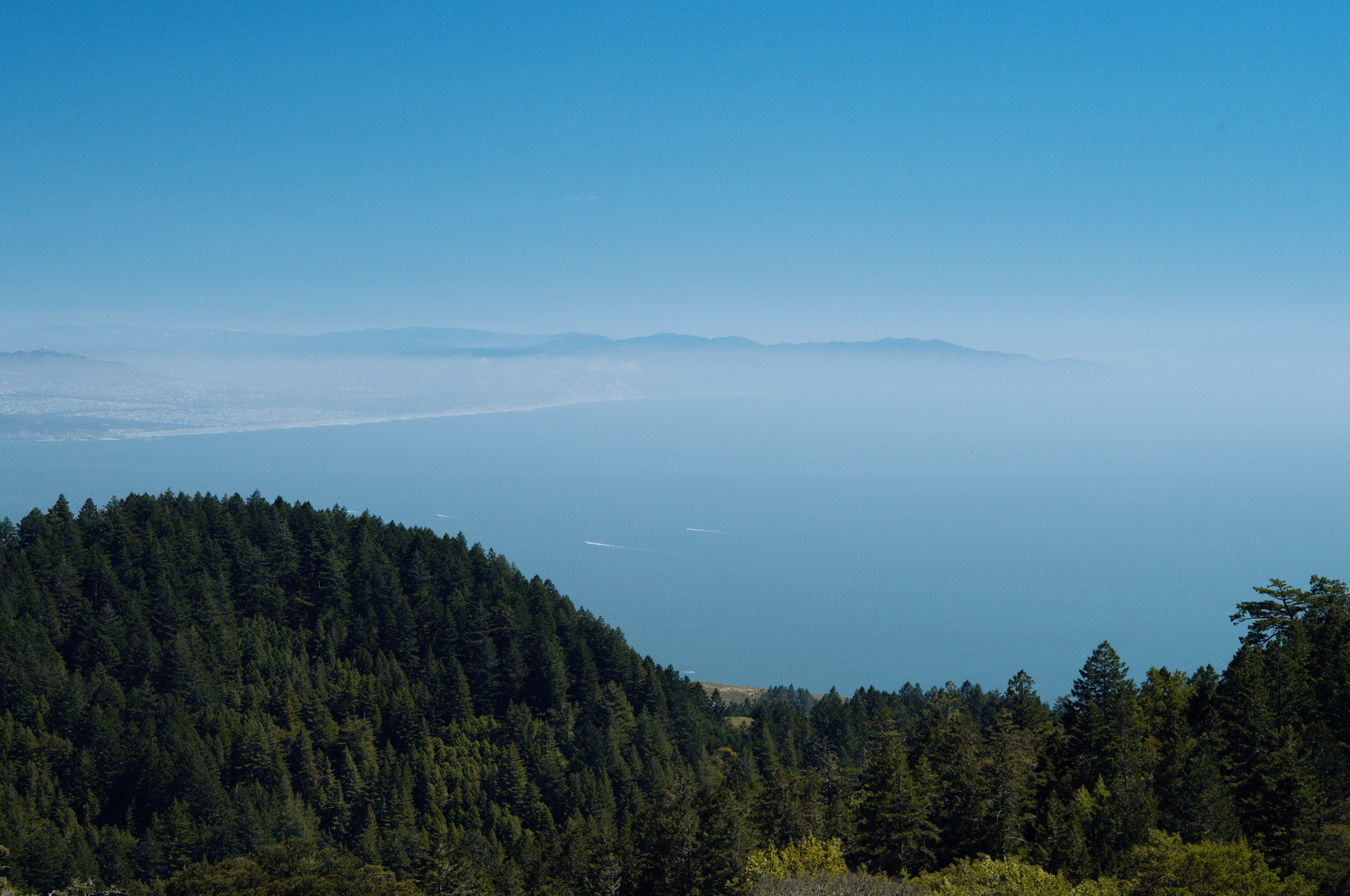 Mt Tamalpais, Marin, CA