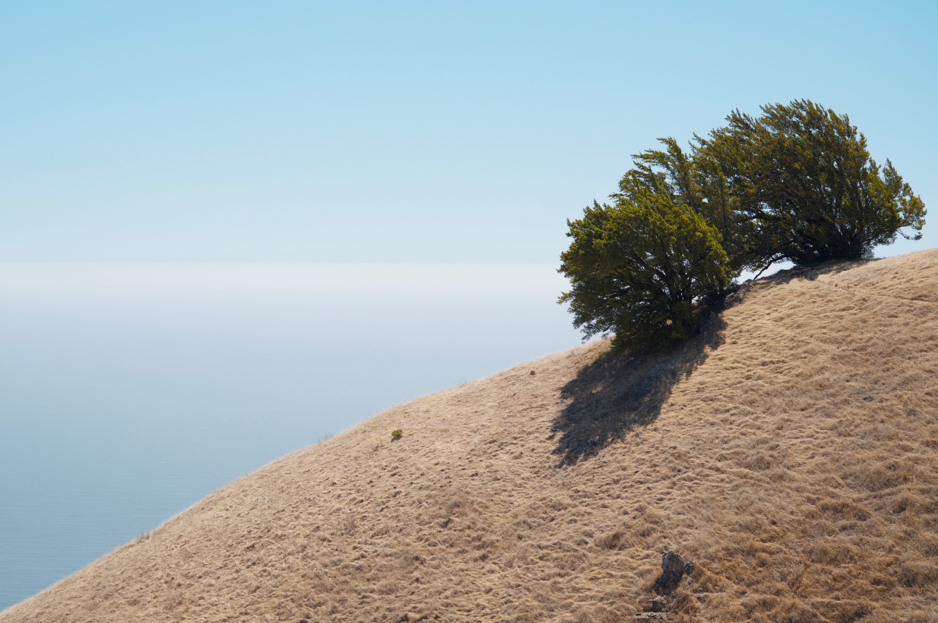 Mt Tamalpais, Marin, CA