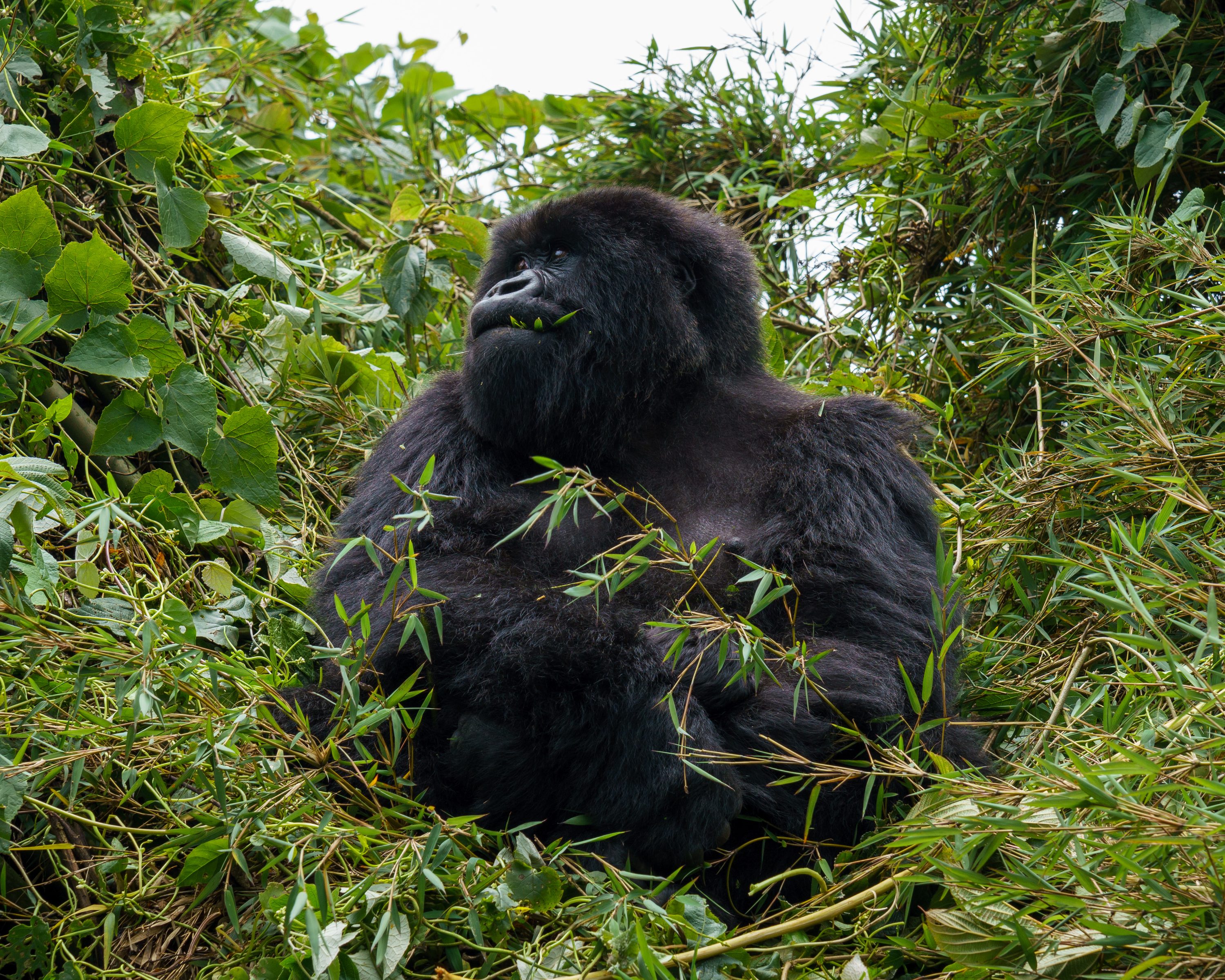 Rwanda